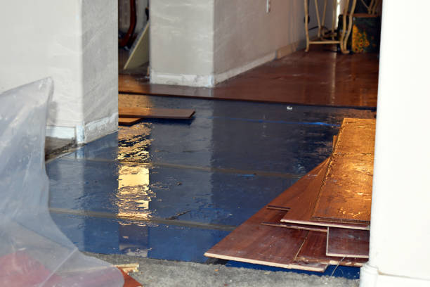 Professional Sewage Cleanup technician working in Wagner, SD